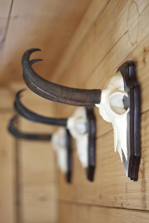 Hotel Walliserkanne Grächen Kültér fotó